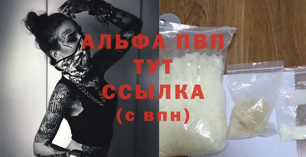 прущий лед Гусев
