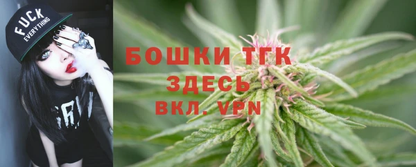мяу мяу мука Гусь-Хрустальный