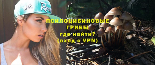 прущий лед Гусев