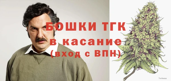 мяу мяу мука Гусь-Хрустальный