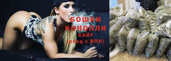 прущий лед Гусев