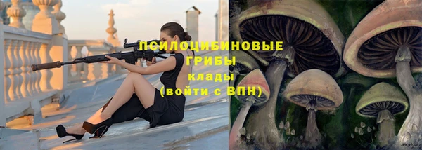 мяу мяу мука Гусь-Хрустальный