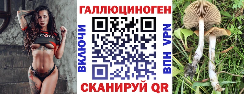 блэк спрут   Одинцово  Галлюциногенные грибы ЛСД 