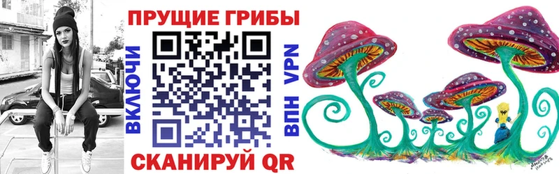 Галлюциногенные грибы Psilocybe Одинцово